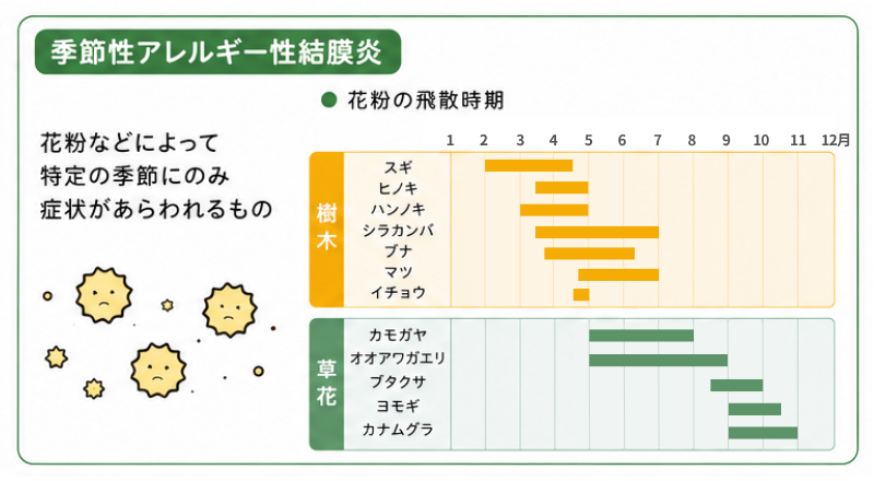 季節性アレルギー性結膜