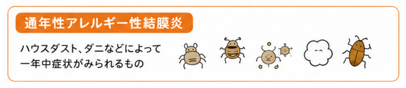 通年性アレルギー性結膜炎